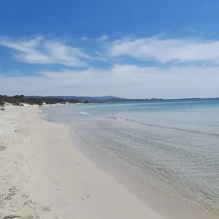 Alumá Alghero